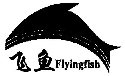  em>飞鱼 /em>; em>flying /em> em>fish /em>