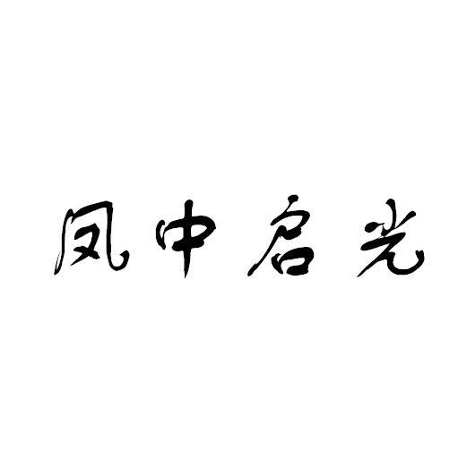 em>凤中/em>启光