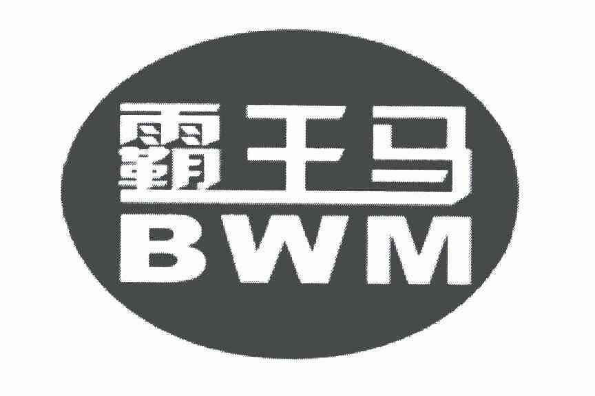 霸王马 em>bwm/em>