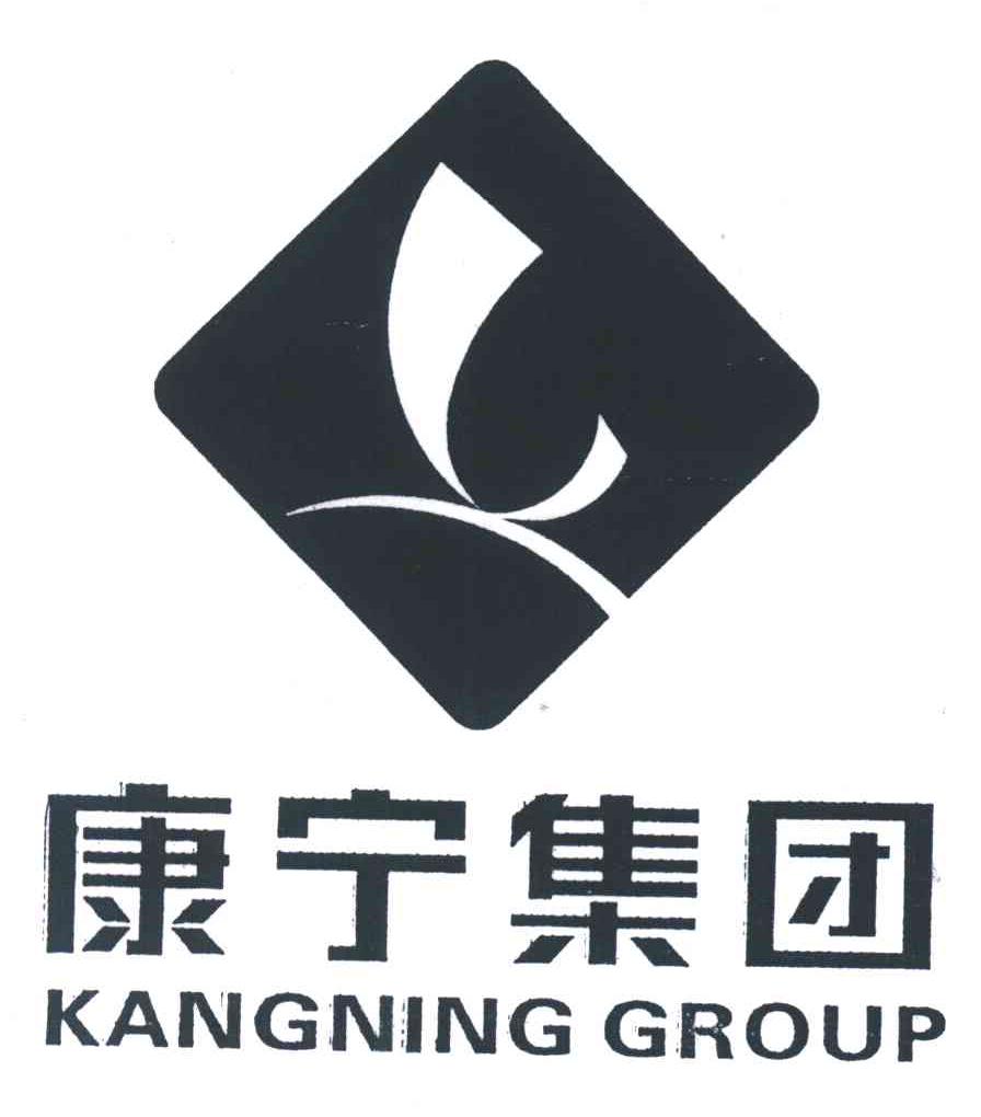 康宁集团;kangning group