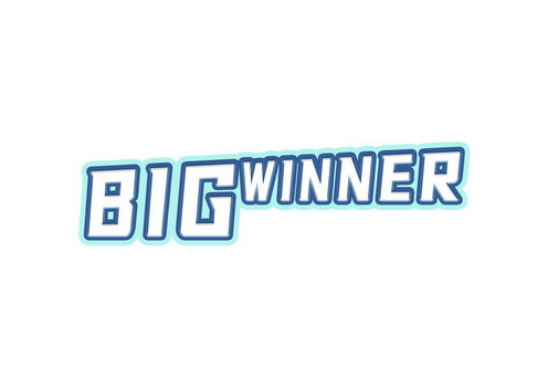 big winner - 商标 - 爱企查