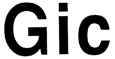 gic                                       