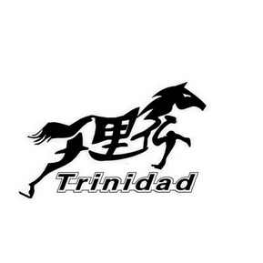 千里行trinidad_企业商标大全_商标信息查询_爱企查