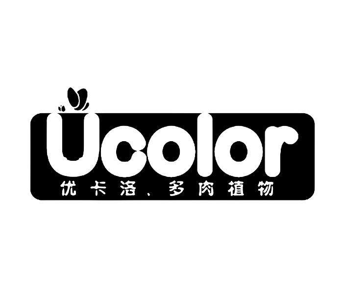  em>优卡洛 /em>· em>多肉 /em> em>植物 /em> ucolor