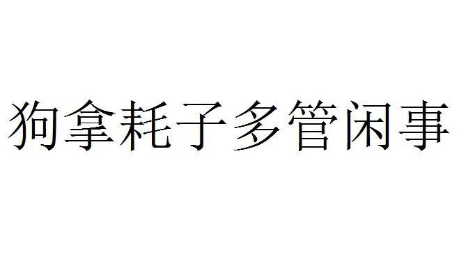 狗拿耗子多管闲事图片图片