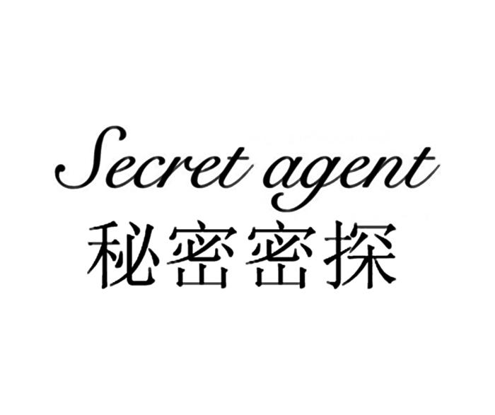 秘密密探  em>secret /em>  em>agent /em>