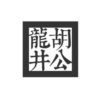 胡龙公井