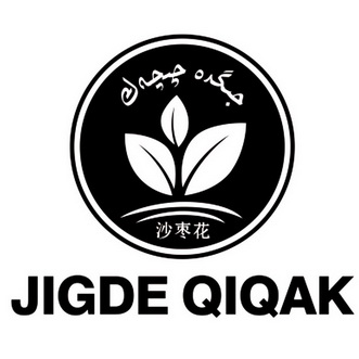  em>沙枣 /em> em>花 /em> jigde qiqak