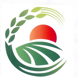 水稻种植专业合作社申请人名称(英文)