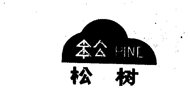  em>松树 /em>  em>pine /em>