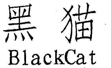  em>黑猫 /em>  em>black /em> em>cat /em>