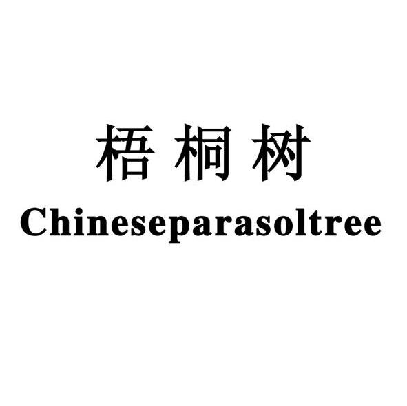 梧桐树 chinese em>parasol /em> em>tree /em>