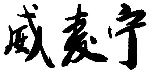 威麦宁 - 商标 - 爱企查