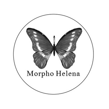  em>morpho /em>  em>helena /em>