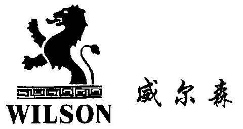 威尔森 em>wilson/em>