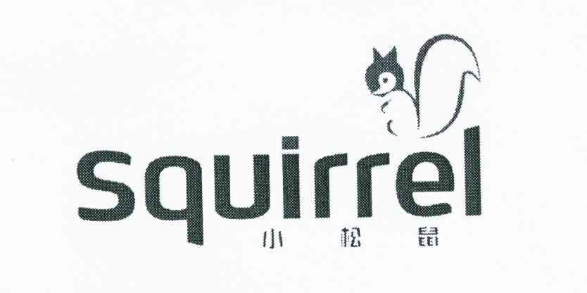 小 松鼠 squirrel撤销连续三年停止使用注册商标中