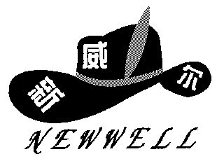  em>新 /em> em>威尔 /em>