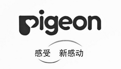pigeon 感受 新感动                        