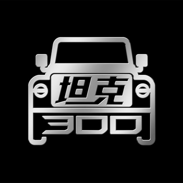  em>坦克 /em>  em>300 /em>