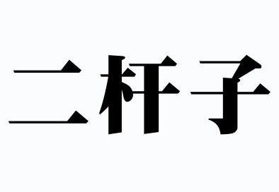 二杆子