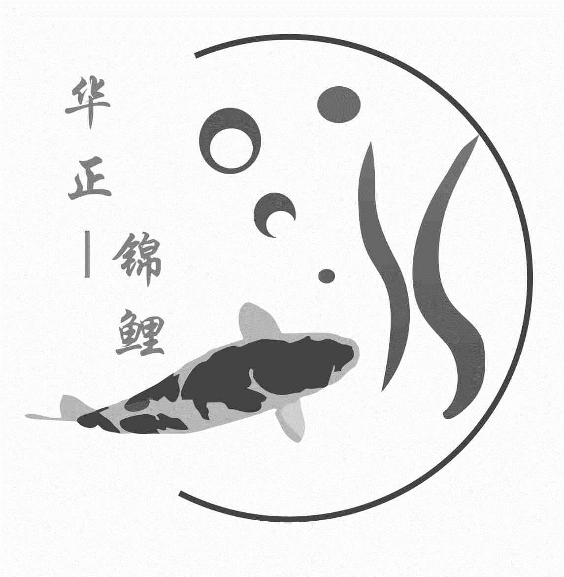 华正锦鲤_企业商标大全_商标信息查询_爱企查