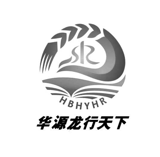 华源龙行天下  em>hbhy /em>hr