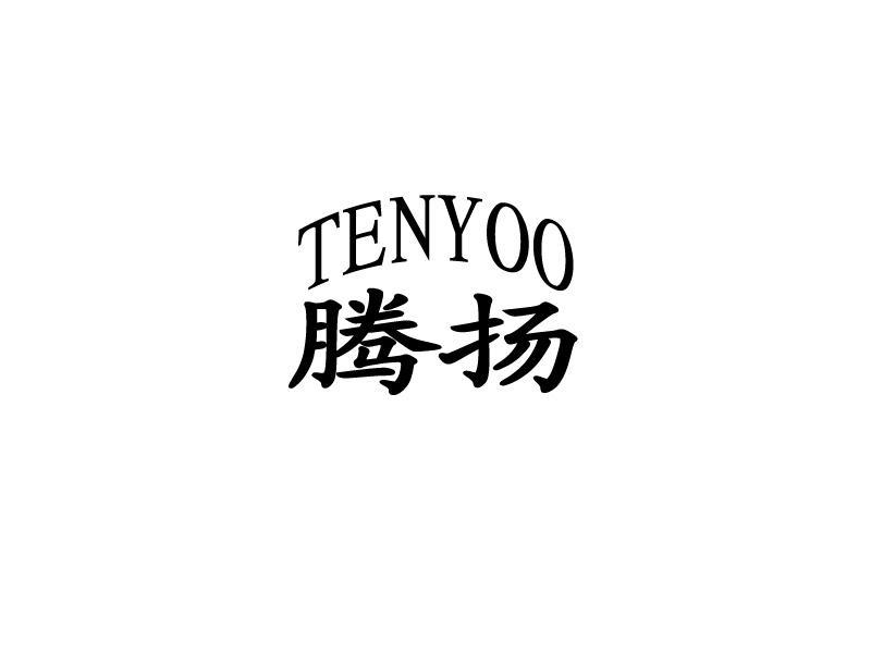 腾扬 em>tenyoo /em>