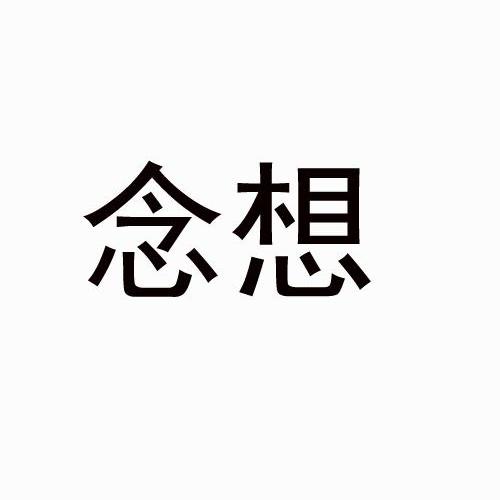 念想