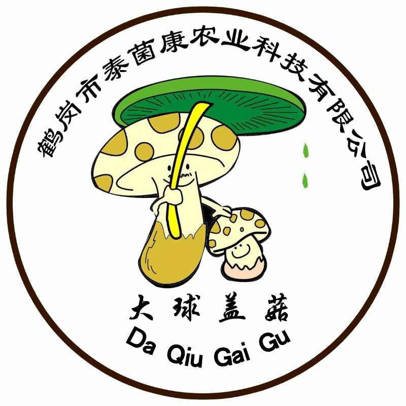 大球 em>盖 /em>菇 鹤岗市泰 em>菌 /em>康