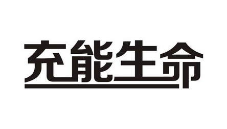 充能 生命申请收文