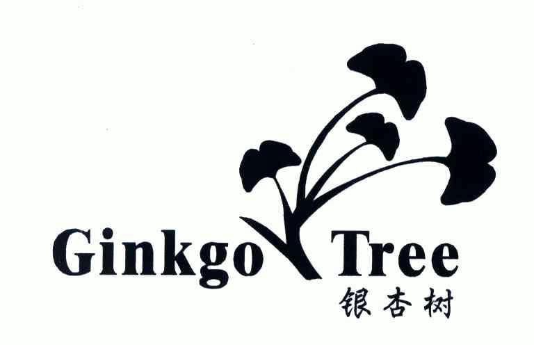 银杏树; em ginkgo /em   em tree /em