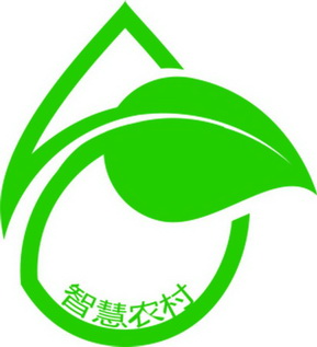  em>智慧 /em> em>农村 /em>