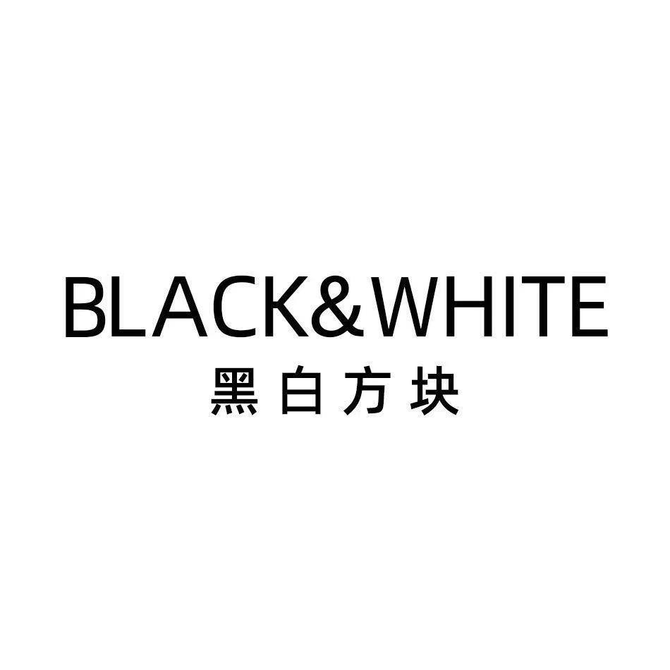 黑白方块  black& white申请被驳回不予受理等该商标已失效
