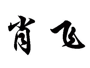  em>肖飞 /em>