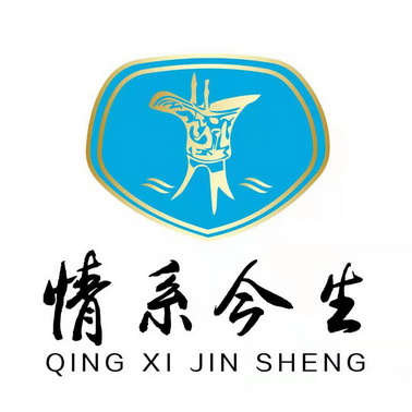 情系今生