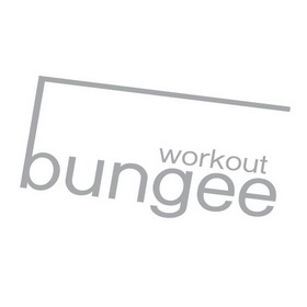  em>bungee /em>  em>workout /em>