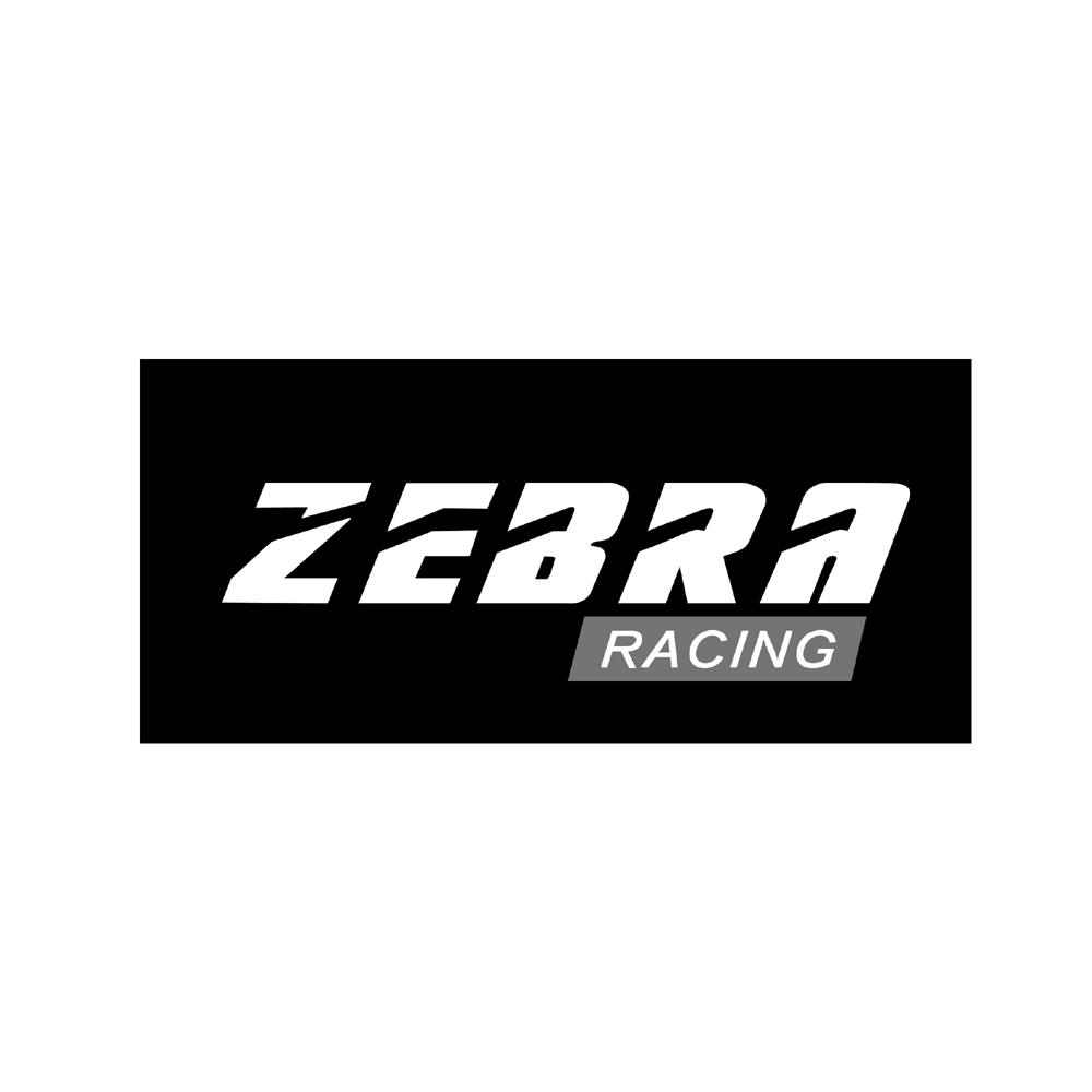 zebra racing