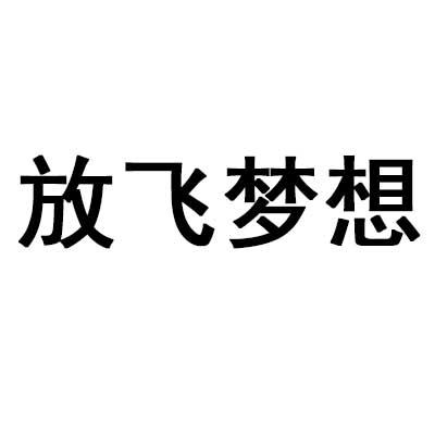 放飞梦想                                  