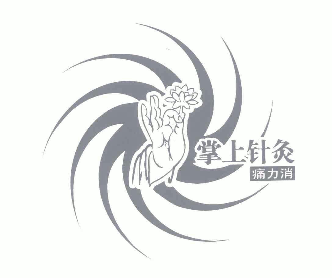  em>掌上 /em> em>针灸 /em>痛力消