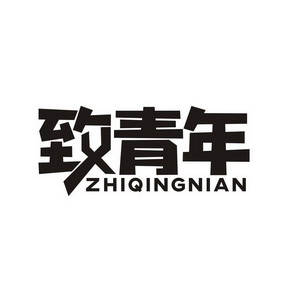  em>致 /em> em>青年 /em>