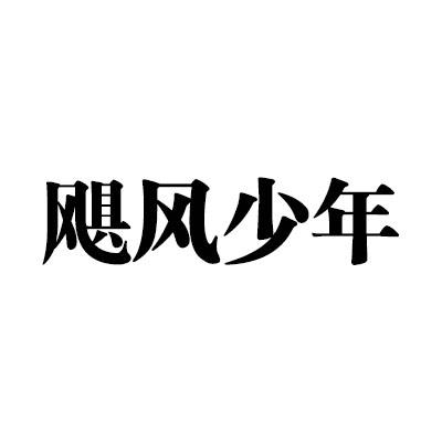飓风少年初步审定公告