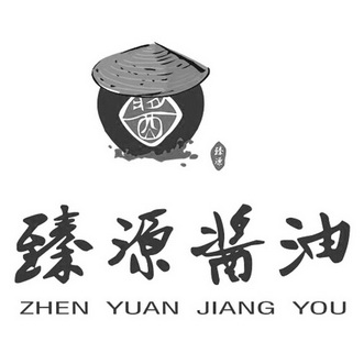 臻源 em>酱油 /em> 酱