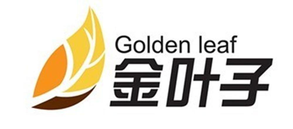  em>金叶子 /em>  em>golden /em>  em>leaf /em>
