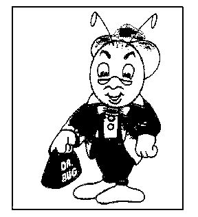  em>dr /em>  em>bug /em>