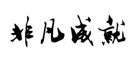 非凡成就 - 商标 - 爱企查