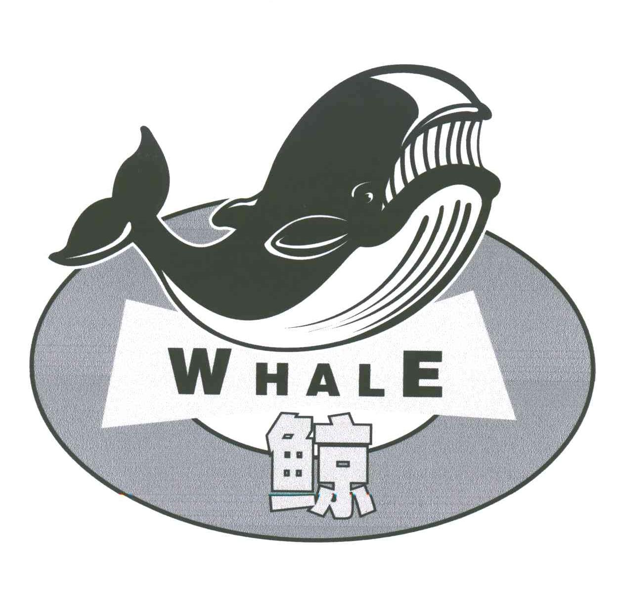  em>鲸 /em>; em>whale /em>
