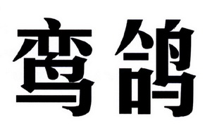 鸾鸽