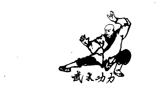  em>武术 /em> em>功力 /em>