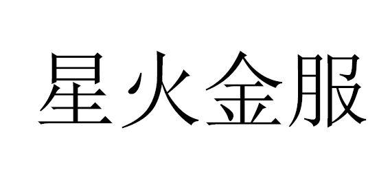 星火金服