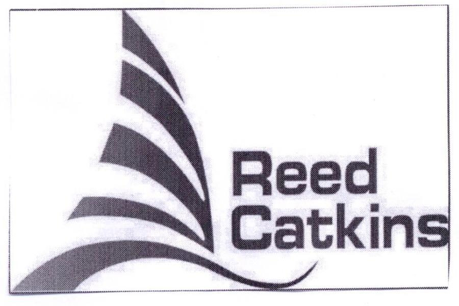  em>reed /em>  em>catkins /em>